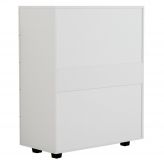 Συρταριέρα Μελαμίνης Με 5 Συρτάρια HM8995.03 Λευκή 80Χ40Χ100εκ